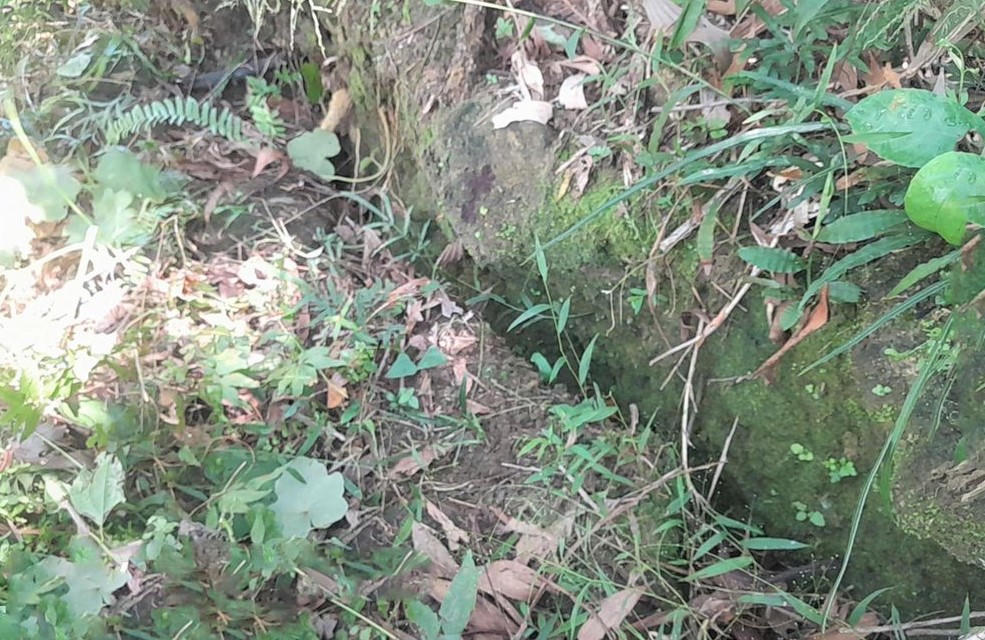 Điểm sạt lở núi Gò Oát xuất hiện vết nứt. Ảnh: CV.