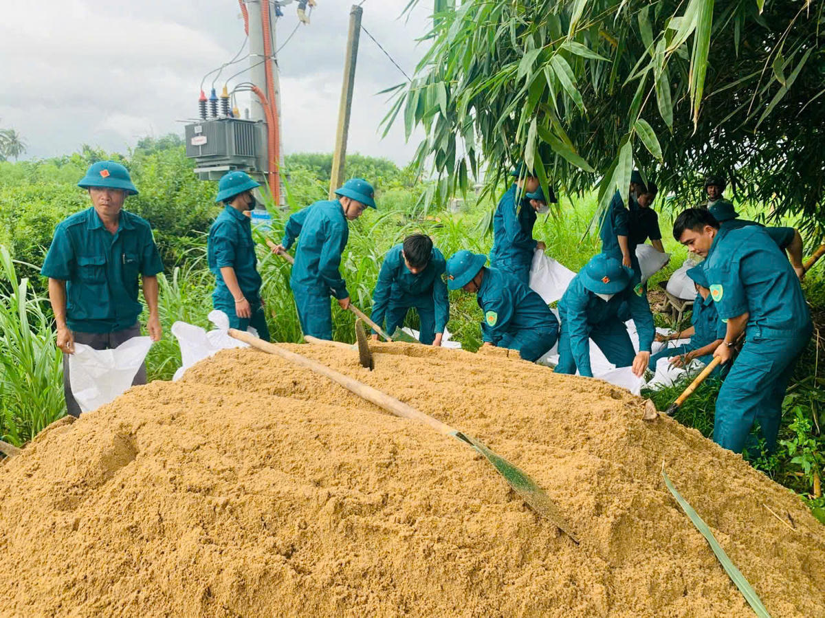 Lực lượng dân quân dồn bao cát để gia cố đoạn đê xung yếu trên địa bàn Quảng Ngãi. Ảnh: CV.