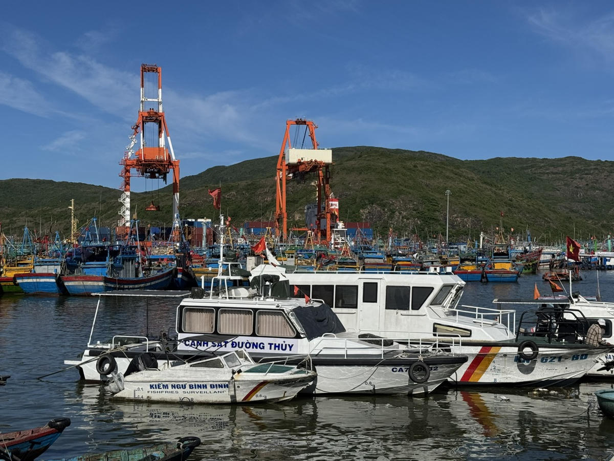 Tàu cá neo đậu tránh trú bão số 12. Ảnh: Đình Sang.