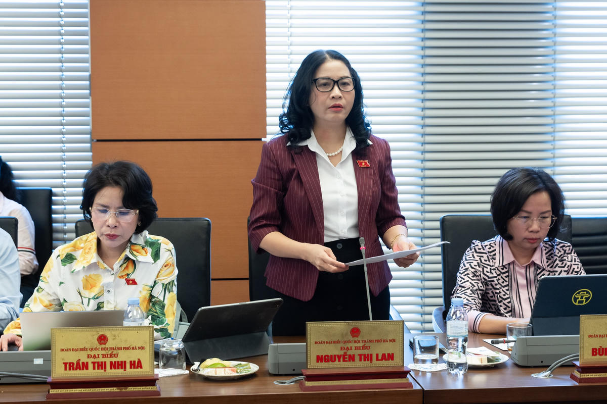 Bà Nguyễn Thị Lan phát biểu tại phiên họp (Ảnh: Quang Vinh)