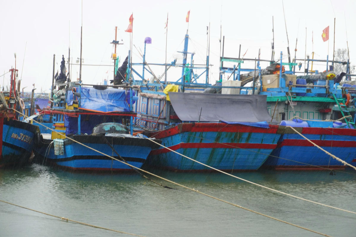 Tàu thuyền Đà Nẵng đã vào nơi trú bão an toàn. Ảnh: CV.