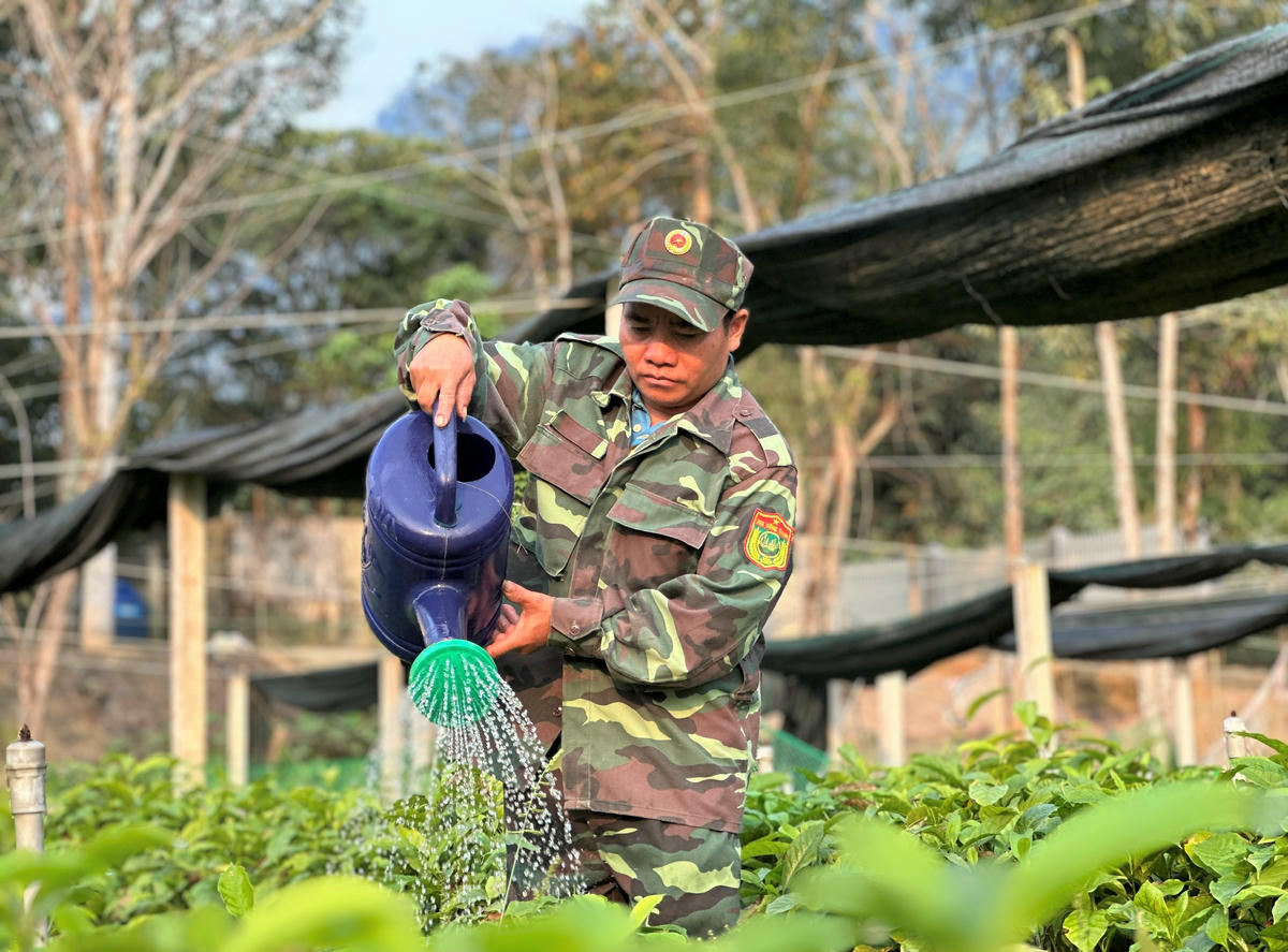 Anh Riáh Nhiếp đang chăm sóc cây và bảo vệ rừng VQG Sông Thanh. Ảnh: CV.