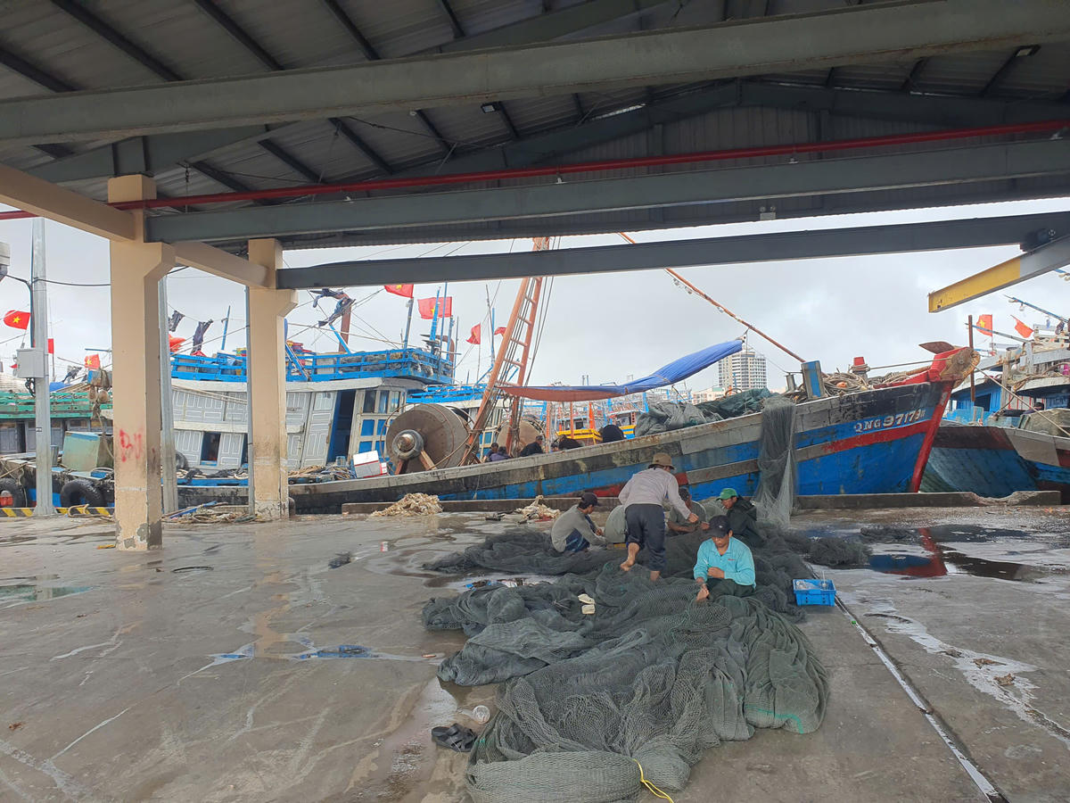 Ngư dân trong âu thuyền Thọ Quang thu xếp ngư lưới cụ để rời tàu. Ảnh: Nguyễn Tú.