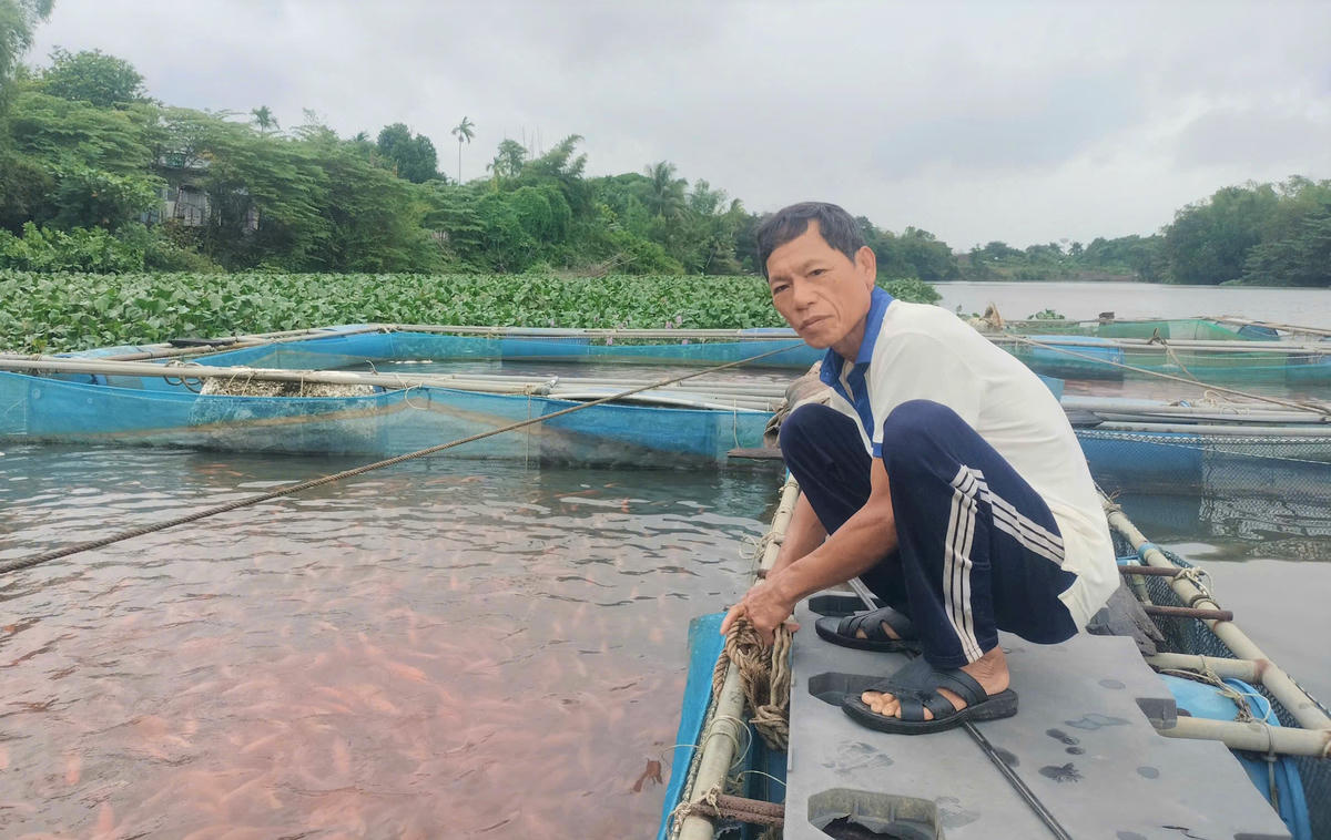 Ông Trần Minh Đức chia sẻ về nuôi cá lồng bè trên sông Tam Kỳ. Ảnh: Tấn Thành.