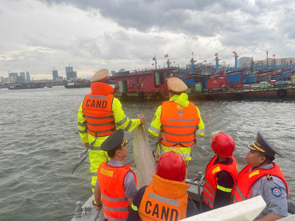 Các lực lượng kiểm tra tại âu thuyền Thọ Quang. Ảnh: Nguyễn Tú.