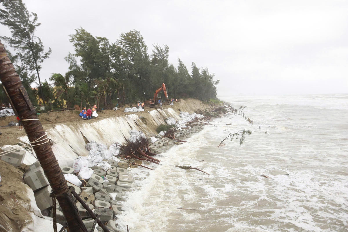 Đoạn bờ biển tại phường Hội An Tây bị sạt lở nghiêm trọng. Ảnh: CV.