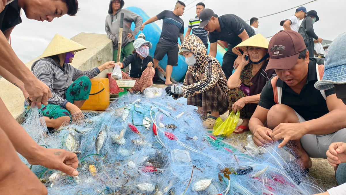 Ngư dân cùng người dân thôn Phước Thiện gỡ cá tại bờ biển. Ảnh: CV.