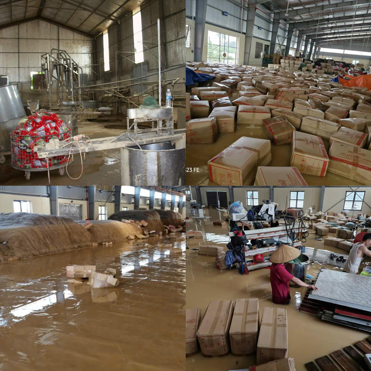 Xưởng miến của Hợp tác xã Việt Cường ngập hoàn toàn trong nước lũ