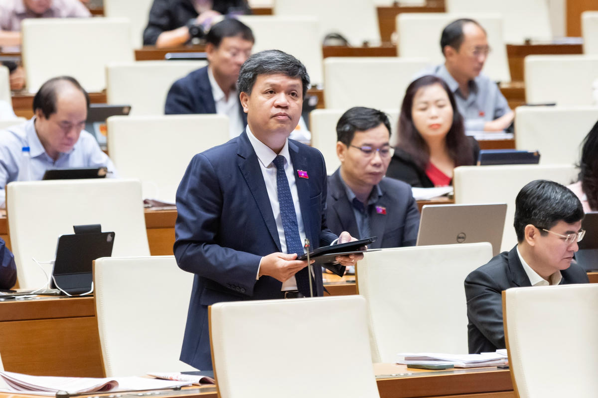 Ông Tạ Đình Thi phát biểu (Ảnh: Quang Vinh)