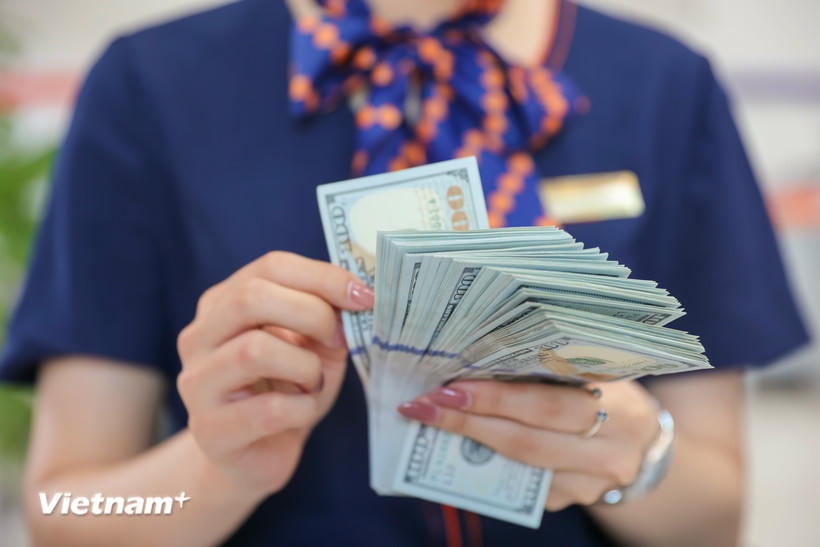 Ngân hàng Nhà nước đề nghị phối hợp quản lý hoạt động thị trường ngoại hối. (Ảnh: Vietnam+).