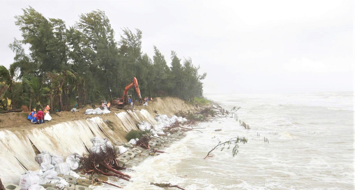 Một đoạn bờ biển phường Hội An Tây sạt lở nghiêm trọng. Ảnh: CV.