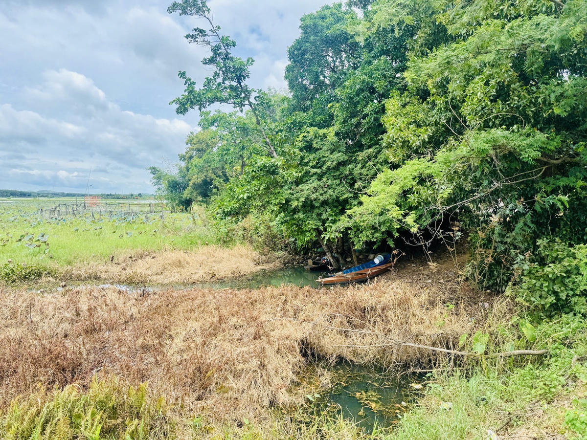 Để giải quyết dứt điểm tình trạng ô nhiễm tại hồ Ea Súp Hạ, cần sự phối hợp đồng bộ giữa các ngành. Ảnh: Thanh Nga.