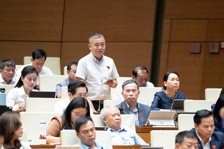 Ông Nguyễn Lân Hiếu phát biểu (Ảnh: Quang Vinh)