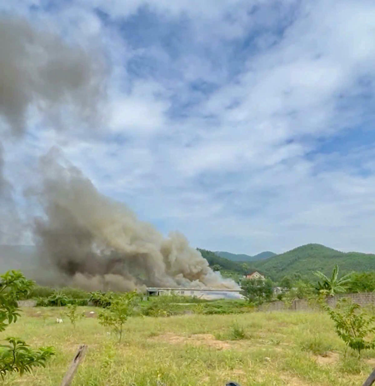 Trang trại chăn nuôi lợn của gia đình ông Vi Nịp Học (khu Trung Lương, phường Bình Khê, Quảng Ninh) bị cháy. Ảnh: DDCI Bình Khê