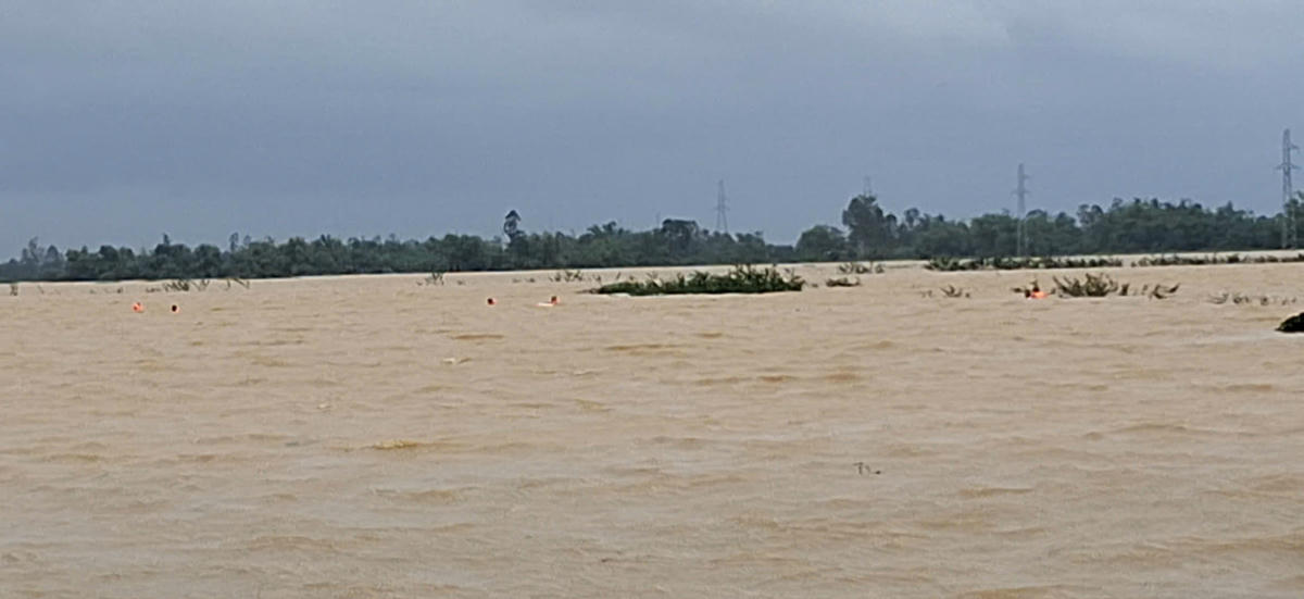 Khu vực nơi ông C. mất tích. Ảnh: CV.