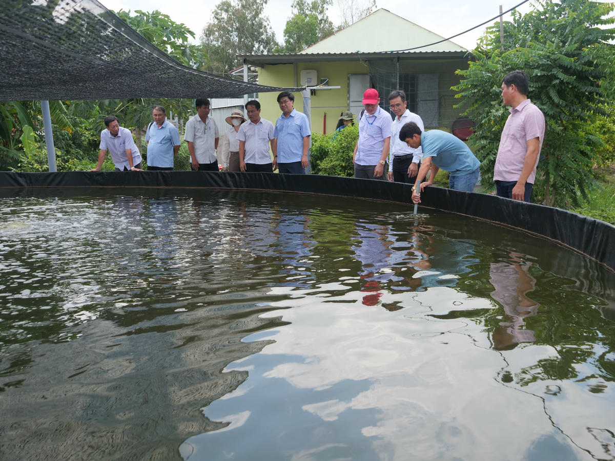 Anh Nông Văn Thạch (áo thun) chia sẻ về quy trình ương dưỡng tôm sú của HTX Ba Đình cho đoàn công tác Sở Nông nghiệp và Môi trường. Ảnh: Nguyên Du.