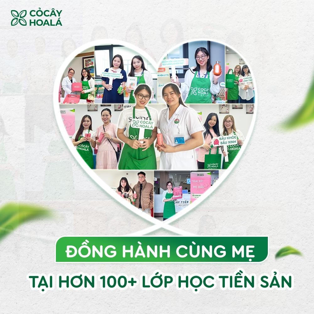 Cỏ Cây Hoa Lá: Thương hiệu mỹ phẩm cùng hành trình mang nguyên liệu bản địa vào mỗi gia đình Việt
