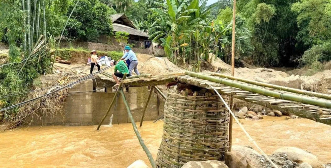 Làm cầu tạm để di chuyển qua suối. Ảnh: Báo Lào Cai.