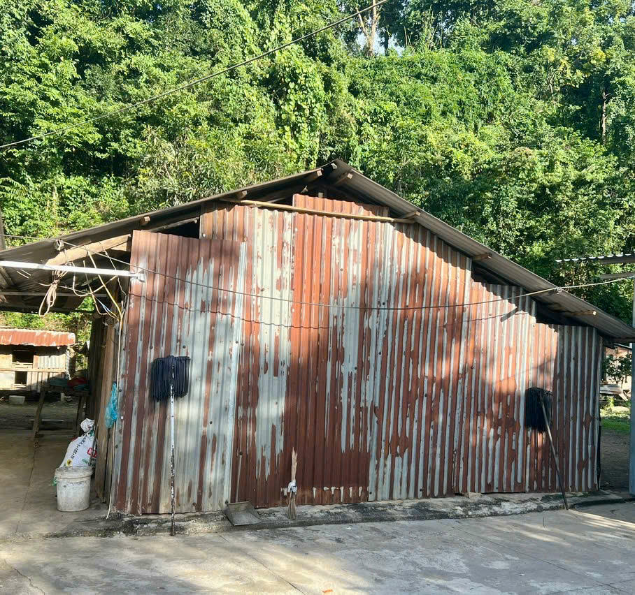 Căn nhà cũ trước đây của gia đình ông&nbsp;Nguyễn Văn Thất. Ảnh: NN.