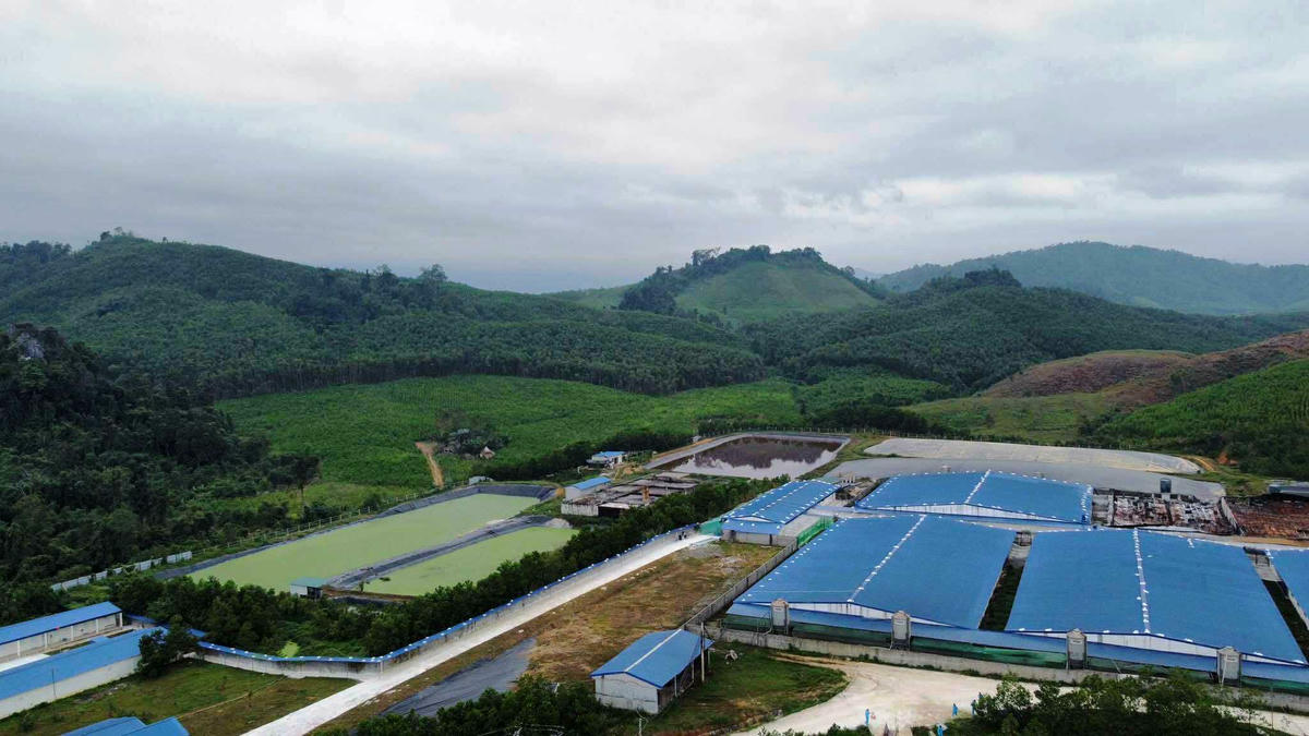 Trang trại của Công ty Cổ phần Đầu tư Quốc tế Asean. Ảnh: Nguyễn Chung..