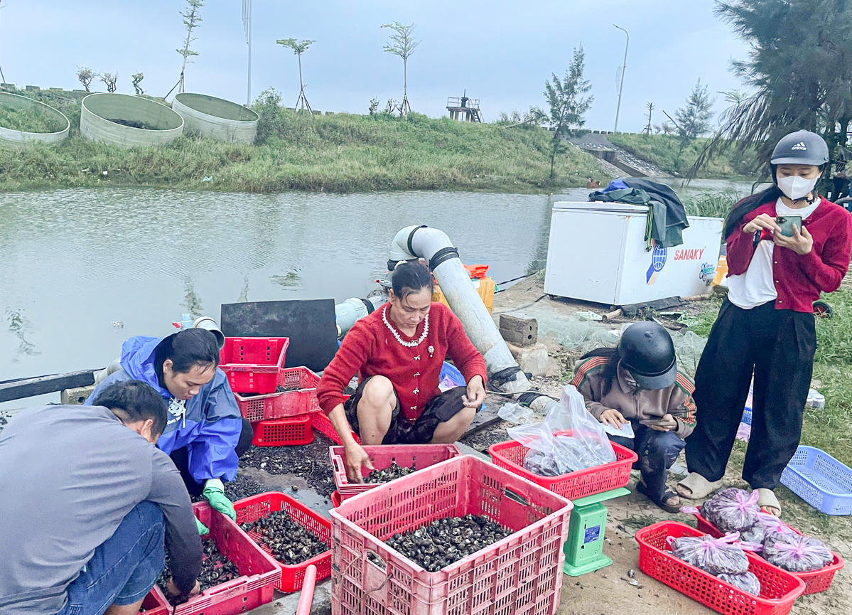 Mưa lớn kéo dài khiến nhiều hộ nuôi trồng thuỷ sản bị ảnh hưởng nặng. 