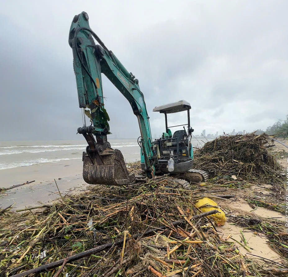 Rác chủ yếu là củi mục, bèo trôi vào bờ. Ảnh: Nguyễn Tú.