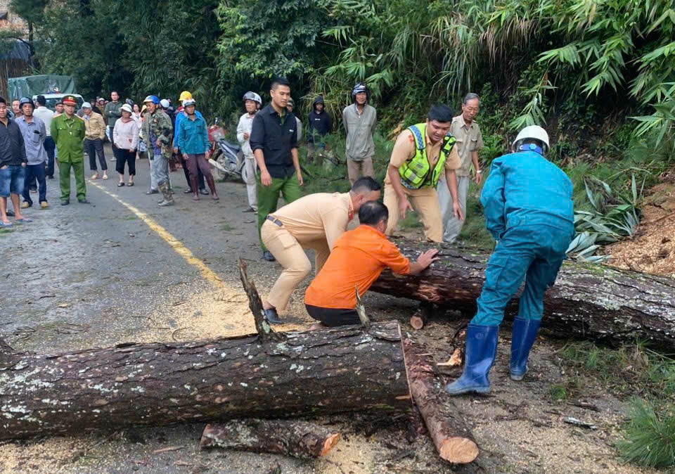 CSGT và người dân dọn dẹp cây đổ chắn ngang Quốc lộ 27. Ảnh: CA.