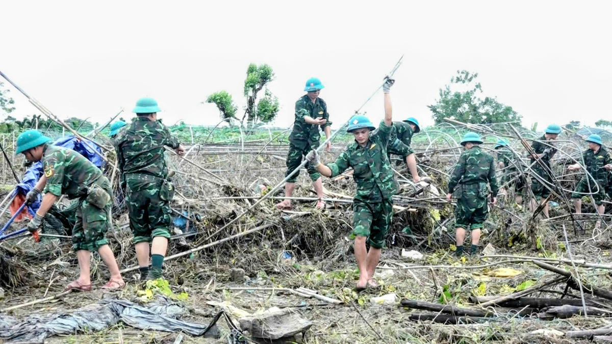 Khôi phục vùng rau La Hường, nguồn rau của trung tâm Đà Nẵng