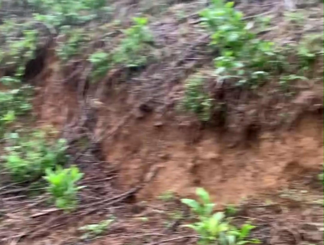 Một vết nứt lớn xuất hiện trên đỉnh đồi thuộc thôn K Long. Ảnh: BCH.