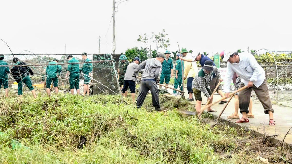 Vùng rau La Hường bị thiệt hại nặng nê·. Ảnh: Lan Chi.