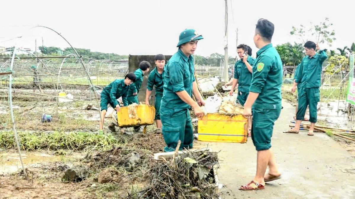 Lực lượng dân quân địa phương tham gia khắc phục thiệt hại tại vùng rau. Ảnh: Lê Đô.