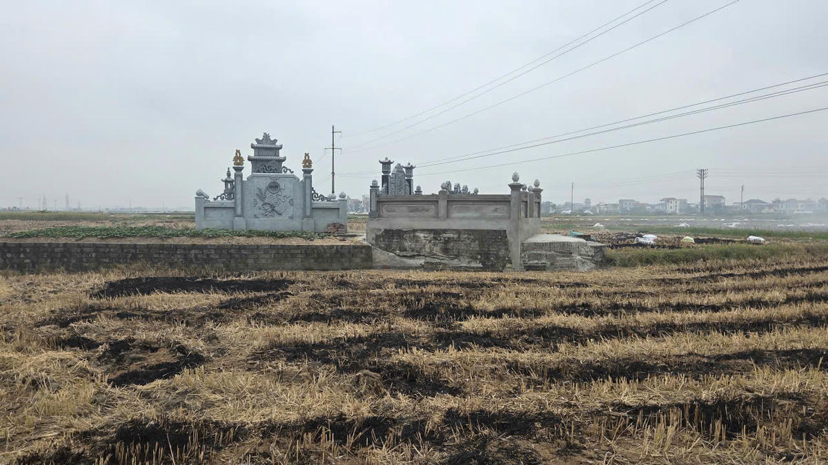 Khu lăng mộ riêng lẻ xây trên đất ruộng tại thôn Cổ Tung, xã Nam Trực (Ninh Bình). Ảnh: Nam Dương