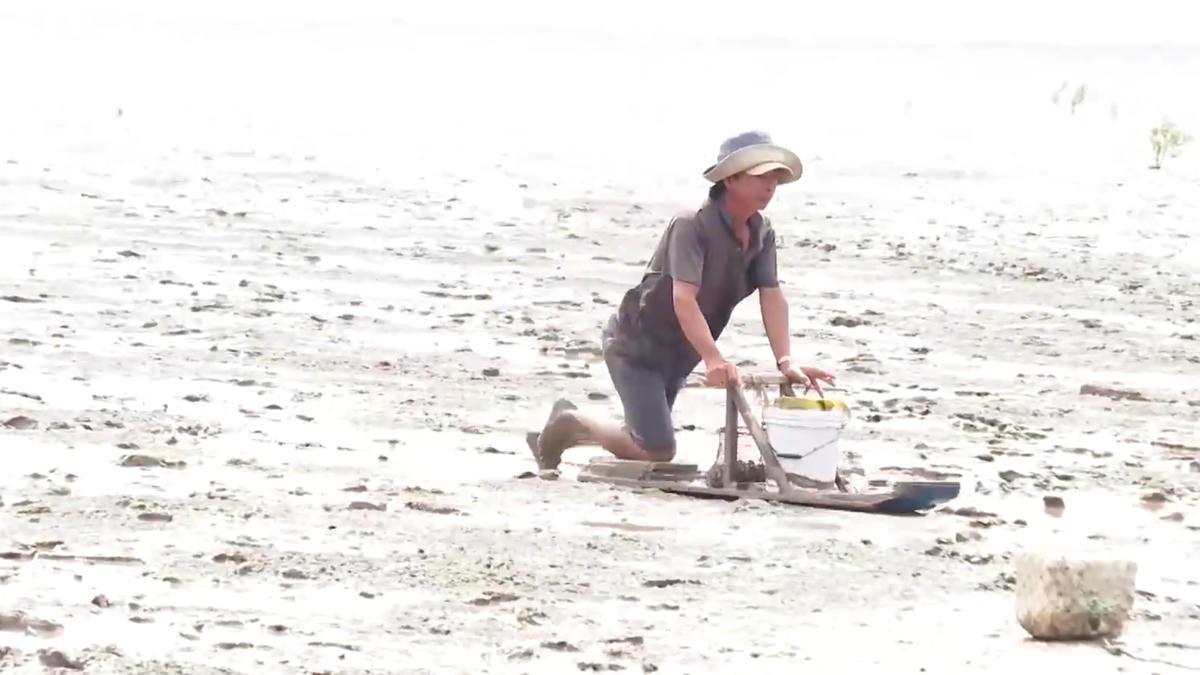 Tấm ván là phương tiện mưu sinh của nhiều hộ dân ở ven biển xã Gành Hào tỉnh Cà Mau. Ảnh: Nguyên Du.