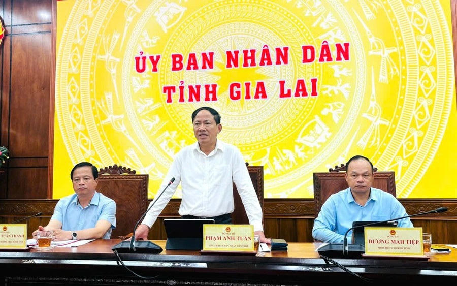 Ông Phạm Anh Tuấn, Chủ tịch UBND tỉnh Gia Lai phát biểu tại cuộc họp. Ảnh: CV.