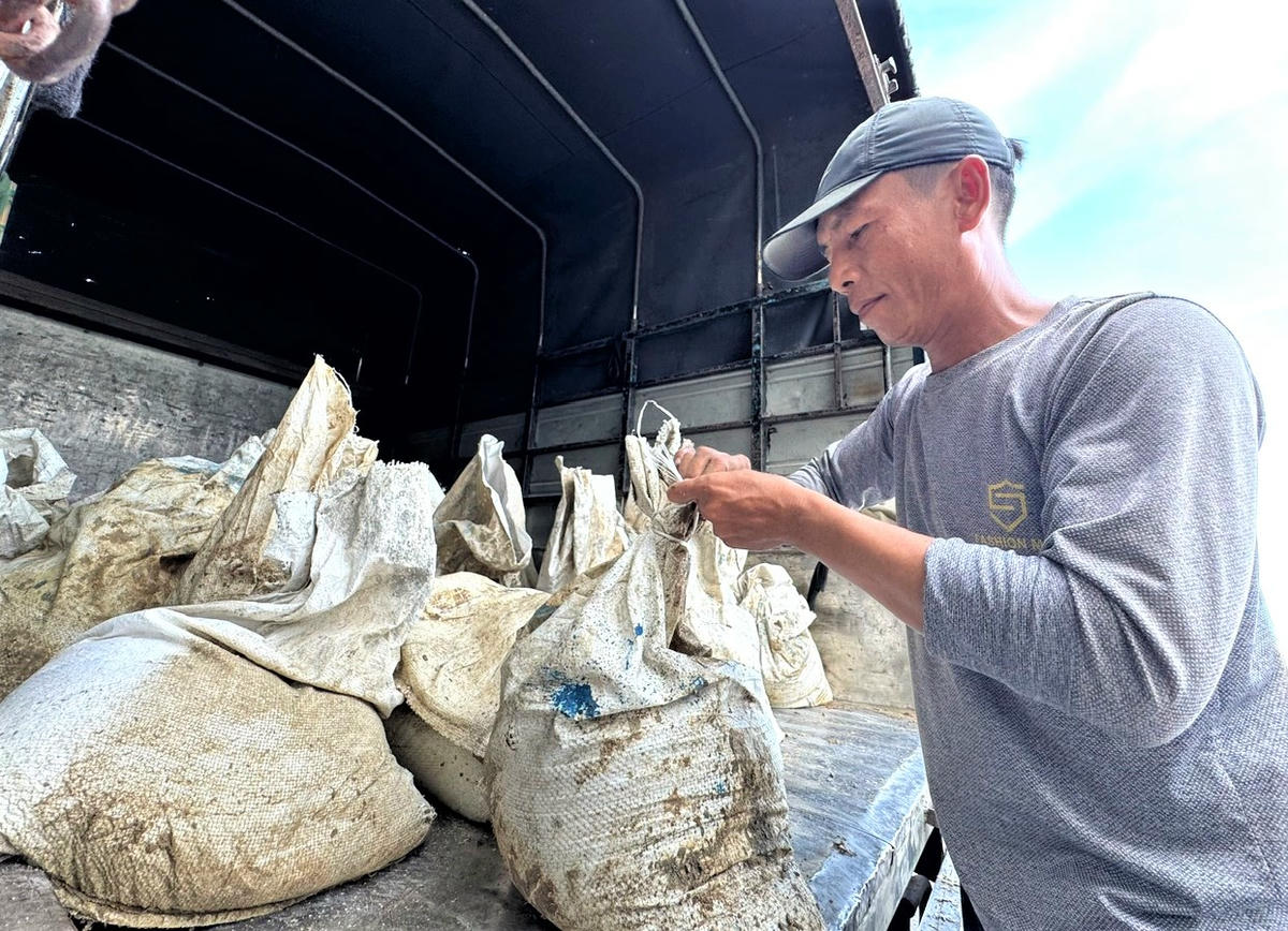 Ông Đỗ Xuân Hiền đang đưa bao cát lên xe tải chờ về nhà chằng chống phòng chống bão số 13. Ảnh: Tấn Thành.