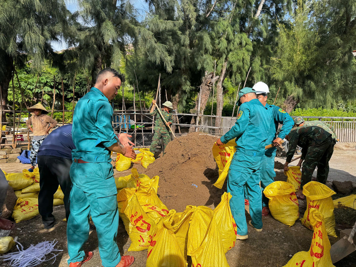 Lực lượng dân quân cùng người dân Gia Lai khẩn trương vận chuyển bao cát gia cố nhà cửa. Ảnh: C.Đại.