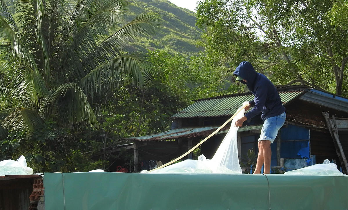 Người dân sử dụng túi bong chứa nước chằng chống nhà cửa. Ảnh: CV.