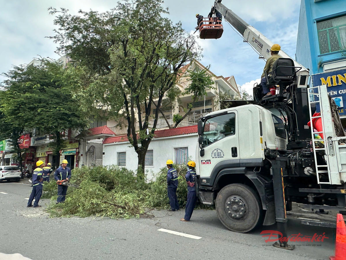 Lực lượng cắt tỉa cây xanh trên đường Lê Trọng Tấn, phường Tây Thạnh, TP Hồ Chí Minh vào sáng 5/11. Ảnh: Tuyết Lưu.