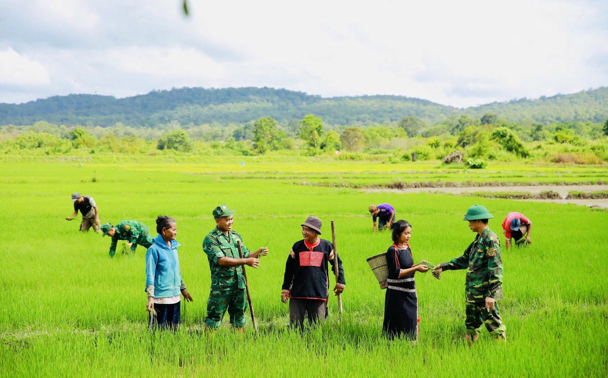 Bộ đội Biên phòng&nbsp; Đồn Sê Rê Pốk giúp dân sản xuất. Ảnh: NL.