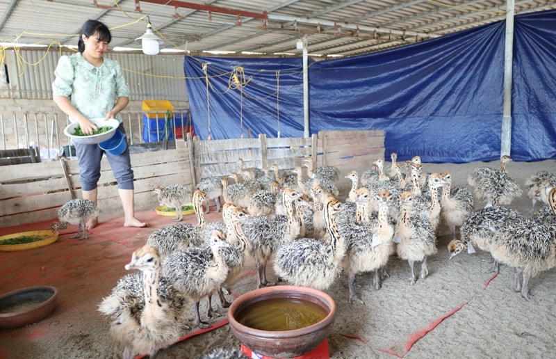 Cuộc sống của người dân có nhiều thay đổi nhờ Chương trình MTQG 1719 . Ảnh: H. L