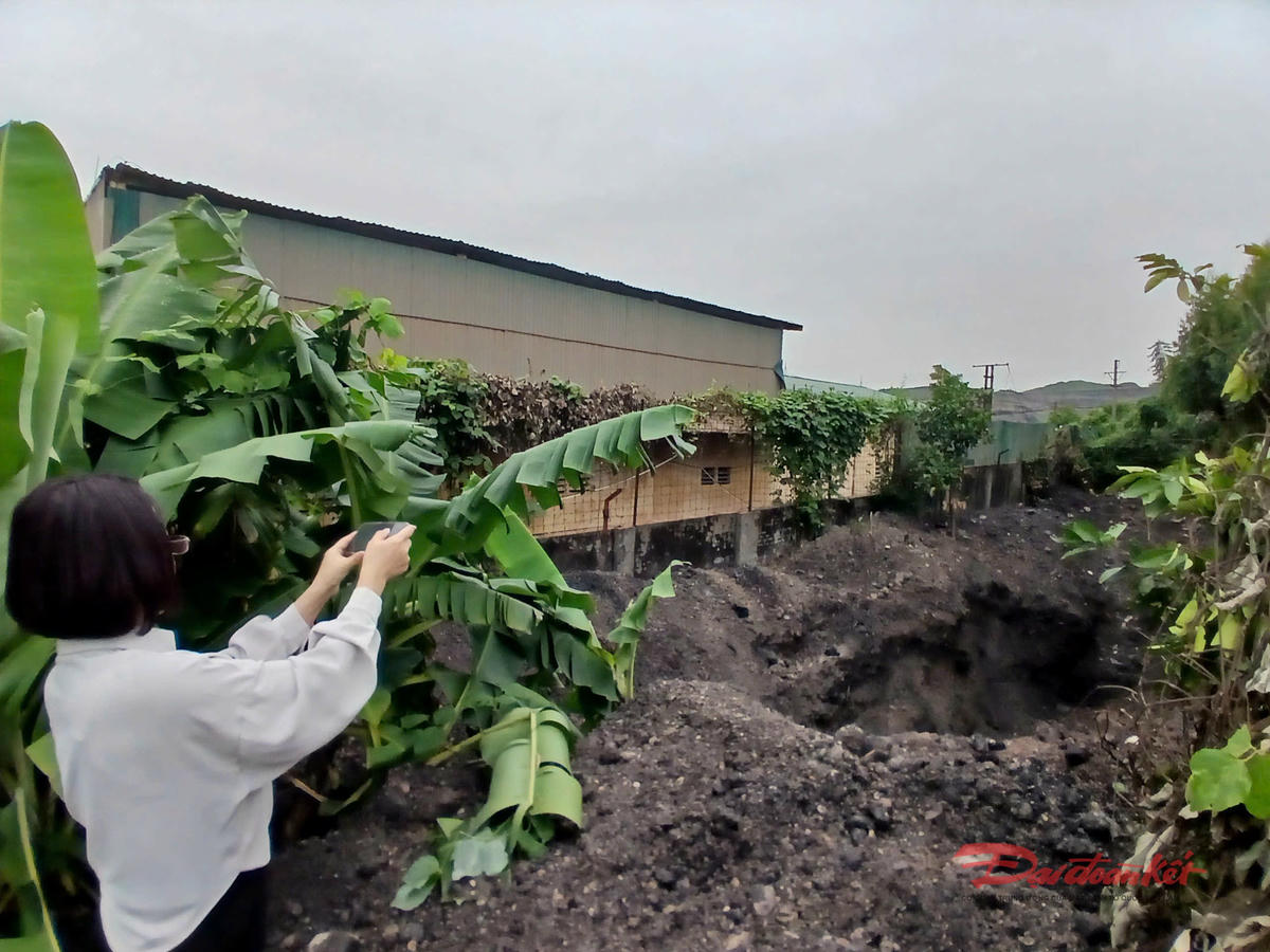 Bà Phan Thị Hải Hường, Bí thư Đảng uỷ phường Hà Tu kiểm tra hiện trường chiều 4/11. Ảnh: PV.