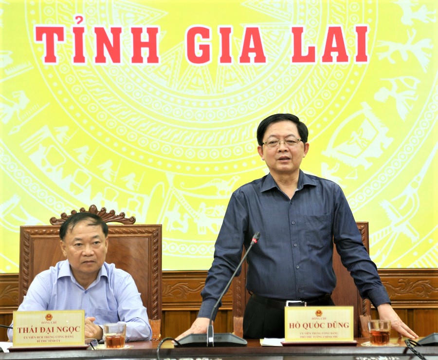 Phó Thủ tướng Hồ Quốc Dũng phát biểu tại buổi làm việc. Ảnh: CV.