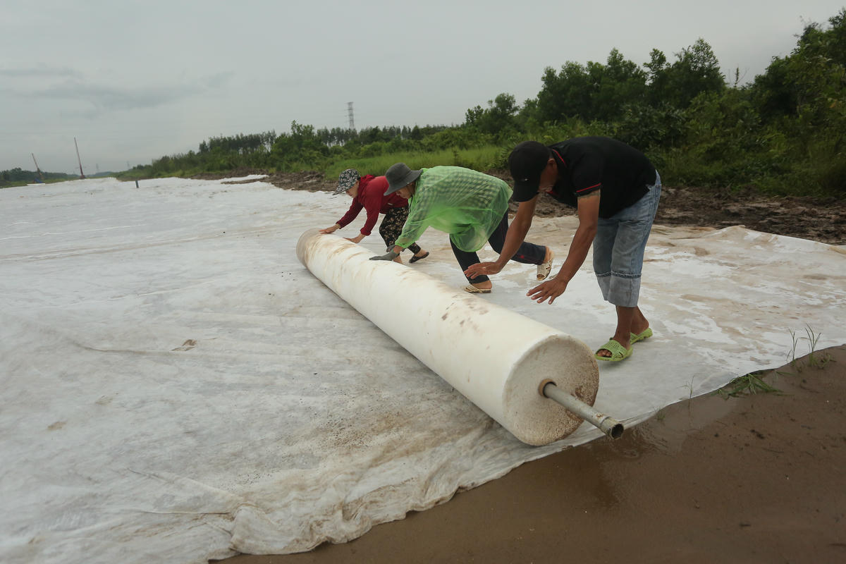 Các công nhân đang hối hả làm việc trên dự án. Ảnh: Đ.Xá.