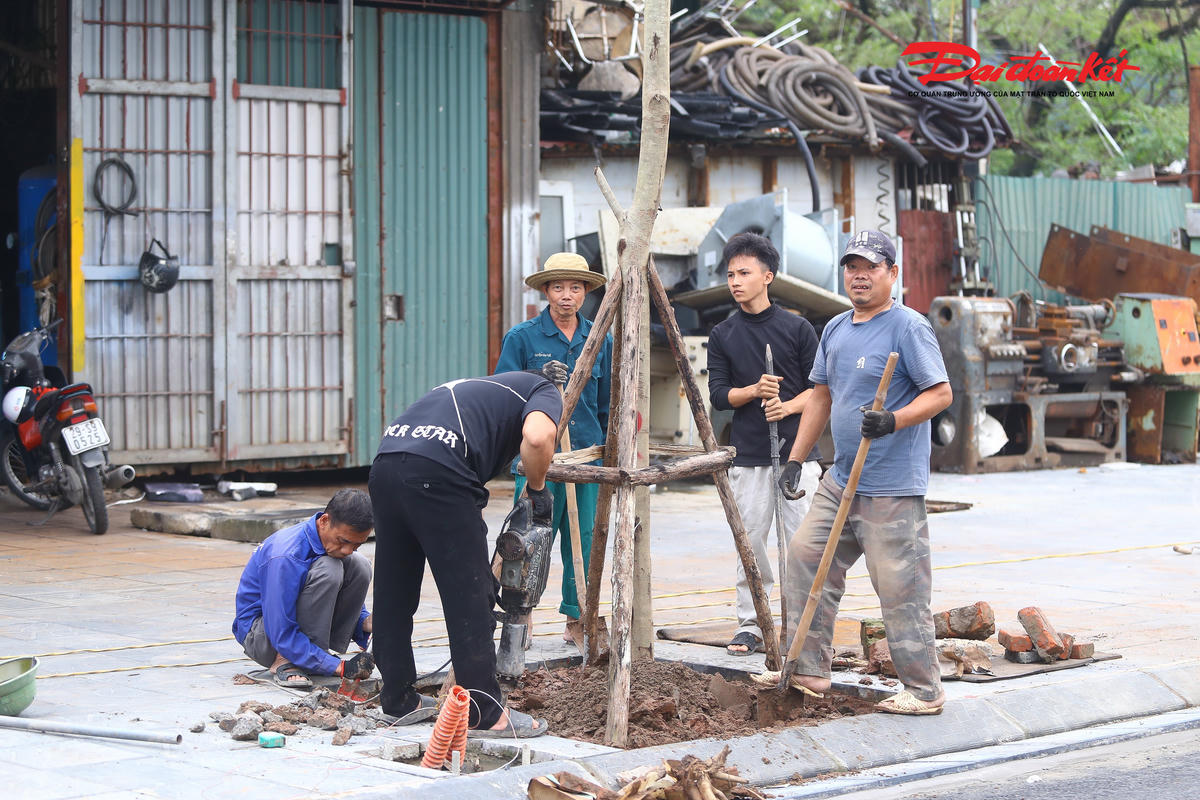 Công nhân lát đá vỉa hè và trồng cây xanh.