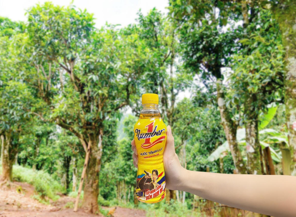 Giữa mây núi Tủa Chùa, Linh khởi đầu hành trình “liều lĩnh” mang năng lượng Việt đến từng tán chè Shan tuyết với sức mạnh và niềm tin được tiếp thêm từ Number 1. (Ảnh: NVCC)