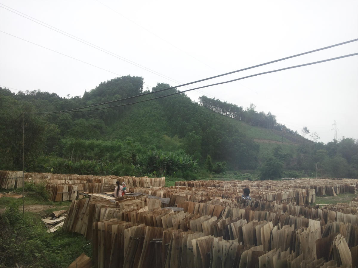 Khi được tiếp cận với các hình thức truyền thông, nhiều hộ dân La Hiên đã biết vươn lên, phát huy thế mạnh của vườn, rừng.