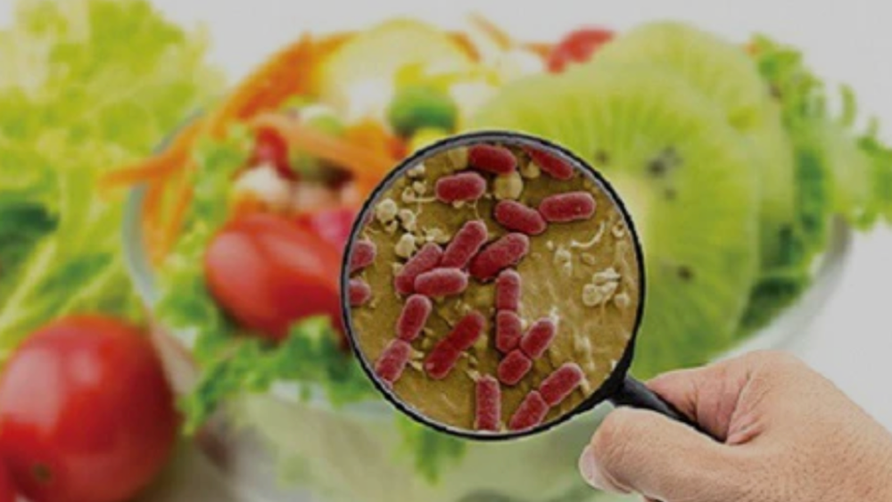 Bước đầu xác định tác nhân gây ngộ độc là vi khuẩn Salmonella enteritidis và Salmonella spp. Ảnh: SYT