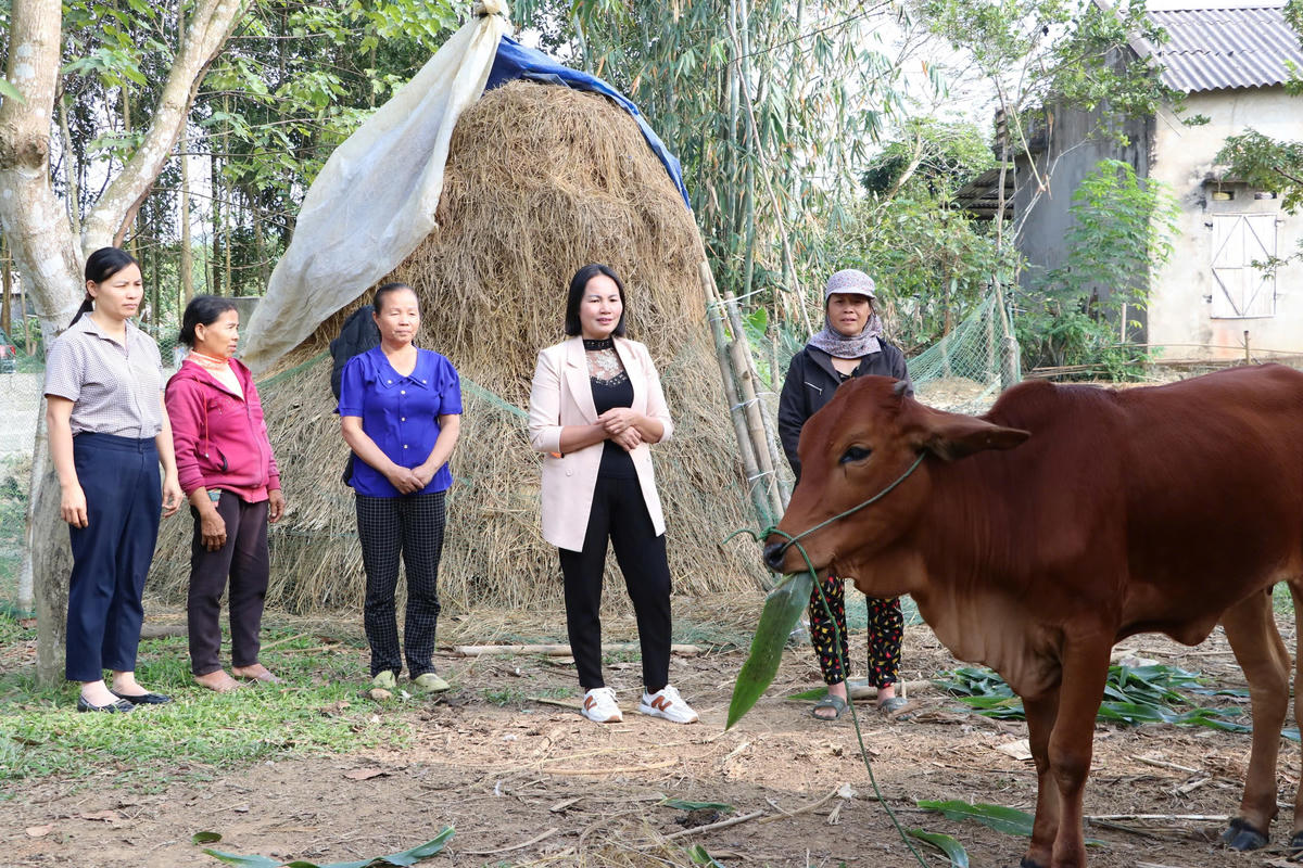 Đại diện chính quyền trao bò giống cho hộ bà Khuông Thị Loan, dân tộc Tày ở xã Phượng Tiến.