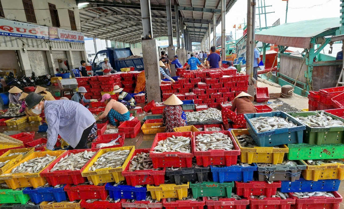 Hàng hóa bốc dỡ tại cảng cá Sông Đốc. Ảnh: Nguyên Du