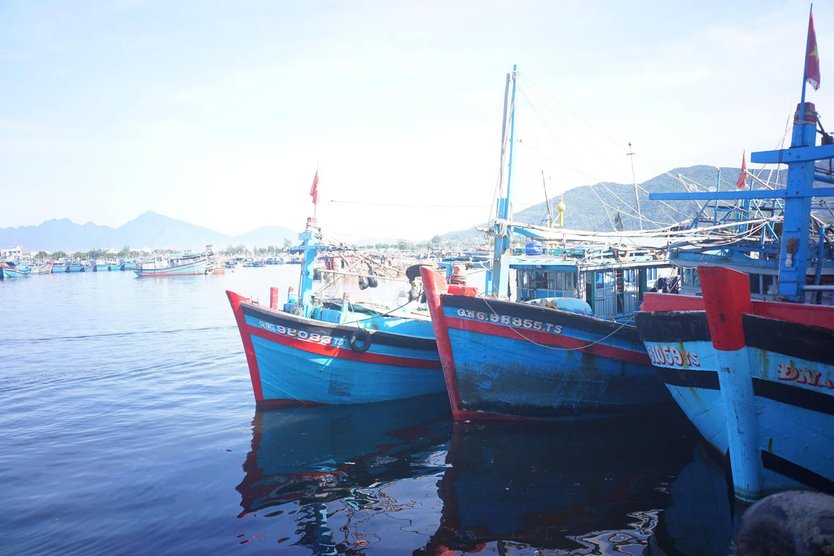 Tàu cá neo đậu tại Cảng cá Thọ Quang. Ảnh: Nguyễn Tú.